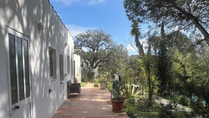 A pathway leading to a white building with a door and windows, surrounded by greenery and trees. - Moinhos Velhos Juice Detox & Yoga (Lagos)