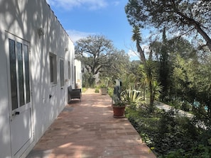 Un camino lleva a un edificio blanco con puerta y ventanas, rodeado de follaje y árboles.