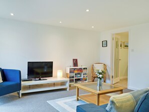 Fernseher