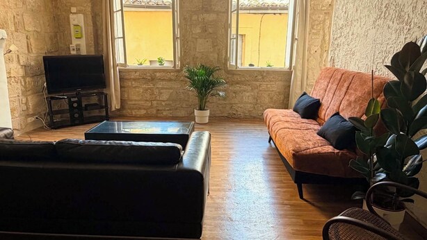 A living room with a sofa, a coffee table, a TV, and a potted plant. - Downtown (Montpellier)