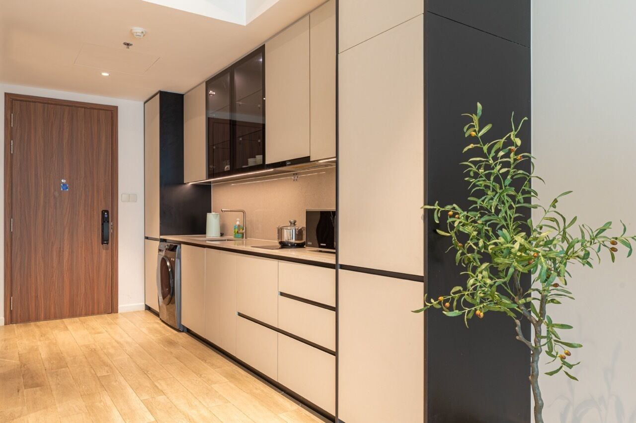 Een moderne keuken met een inbouwoven, een wasmachine en een plant.