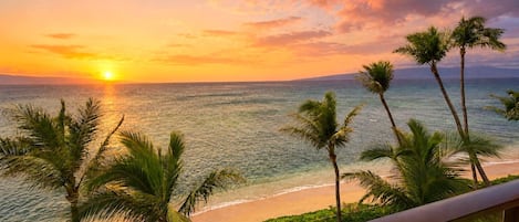 Vista al atardecer desde un balcón con vista a una playa, palmeras y cielo despejado.