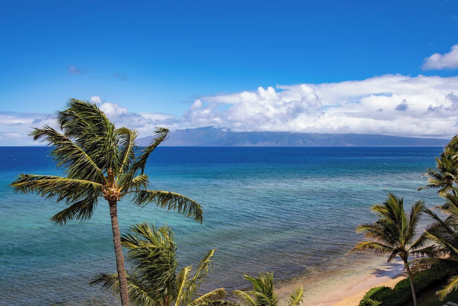 A beach with clear turquoise water, palm trees, and a distant mountain range.