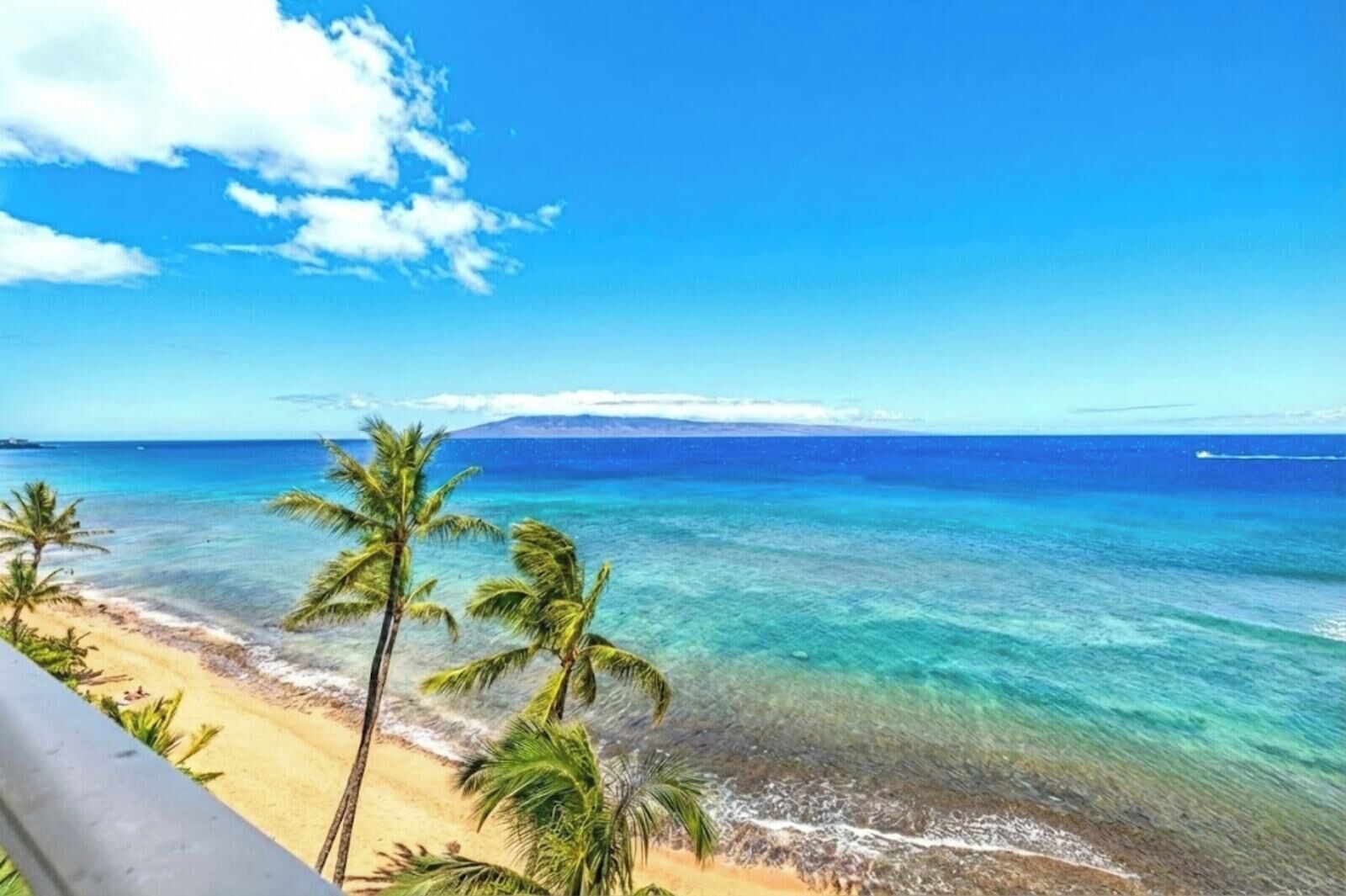 A beach with clear blue water, palm trees, and a distant mountain.