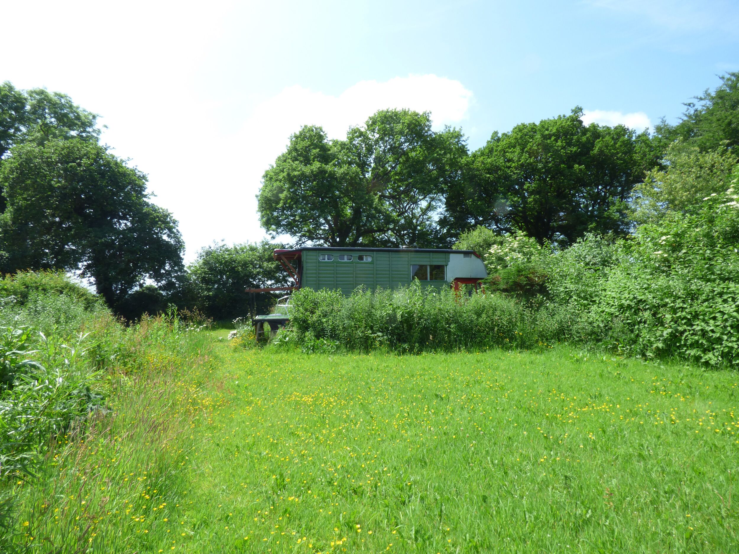 A green house surrounded by lush greenery and trees.