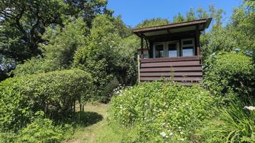 A wooden cabin with a sloped roof, surrounded by dense greenery and trees.