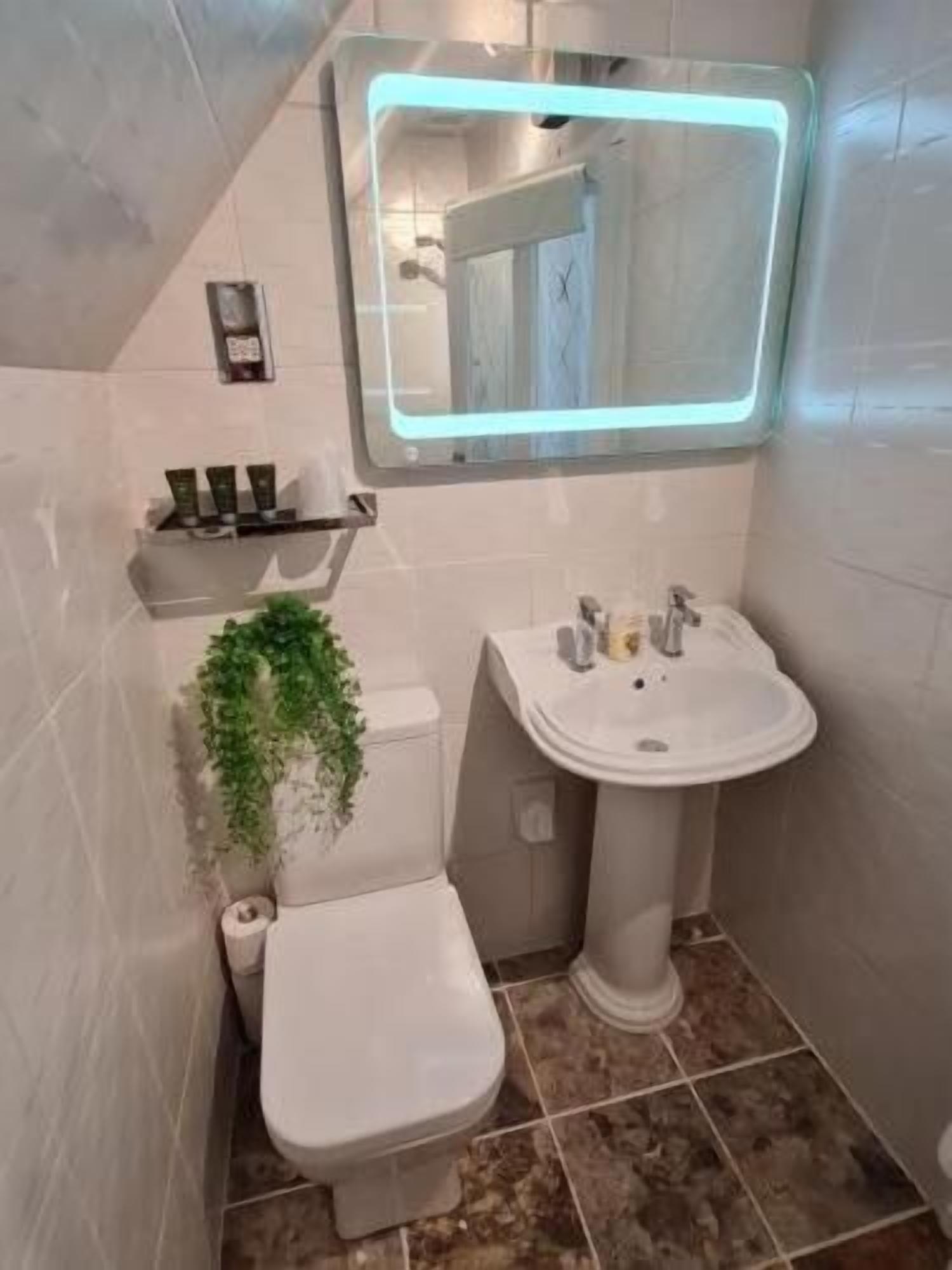 Chambre Double Standard, vue jardin | Salle de bain