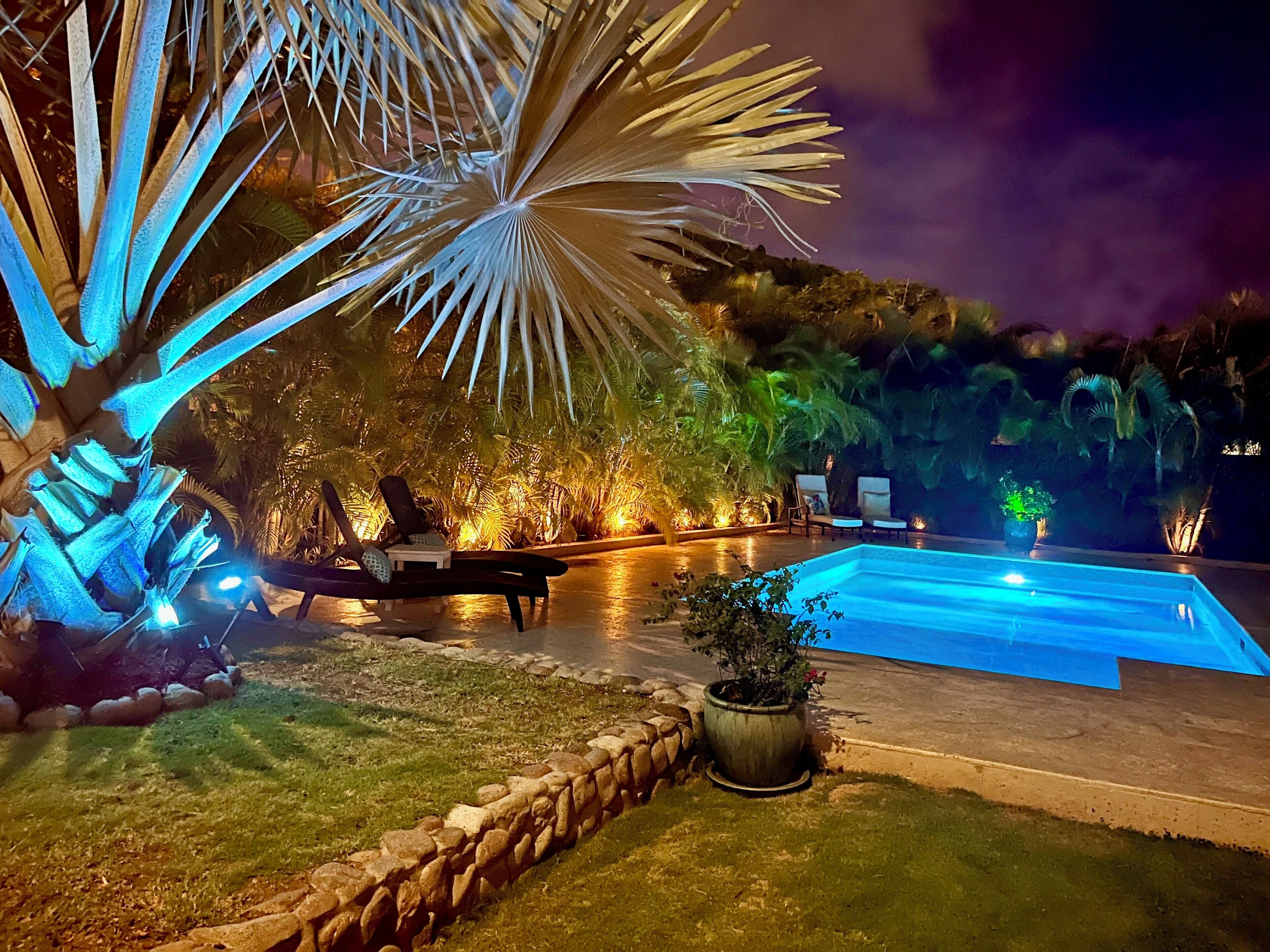 Un espace piscine aménagé pour la nuit, avec des chaises longues, un mur en pierre et des plantes illuminées.