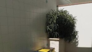 Niet-geclassificeerde afbeelding, 2 van 6, knop