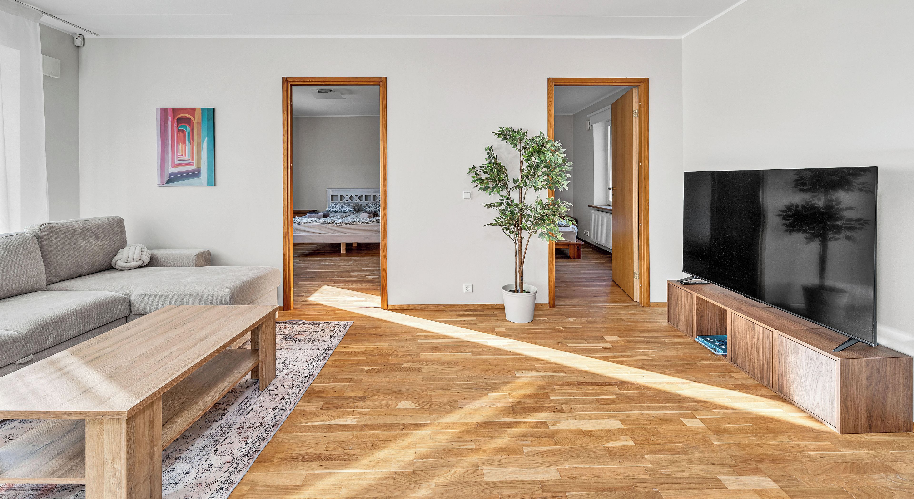 A modern living room with a sofa, coffee table, TV, and a potted plant.