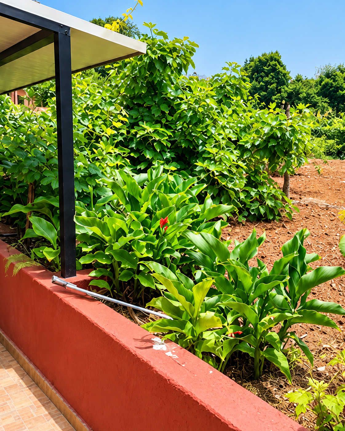 A garden area with a red wall and a metal structure, surrounded by green foliage.