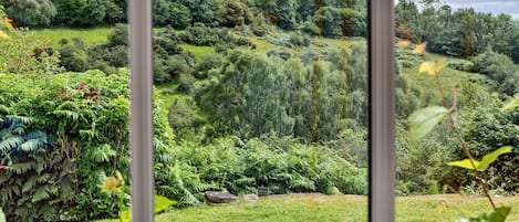A lush garden with a variety of ferns and shrubs, a grassy area, and a view of a forested hillside.