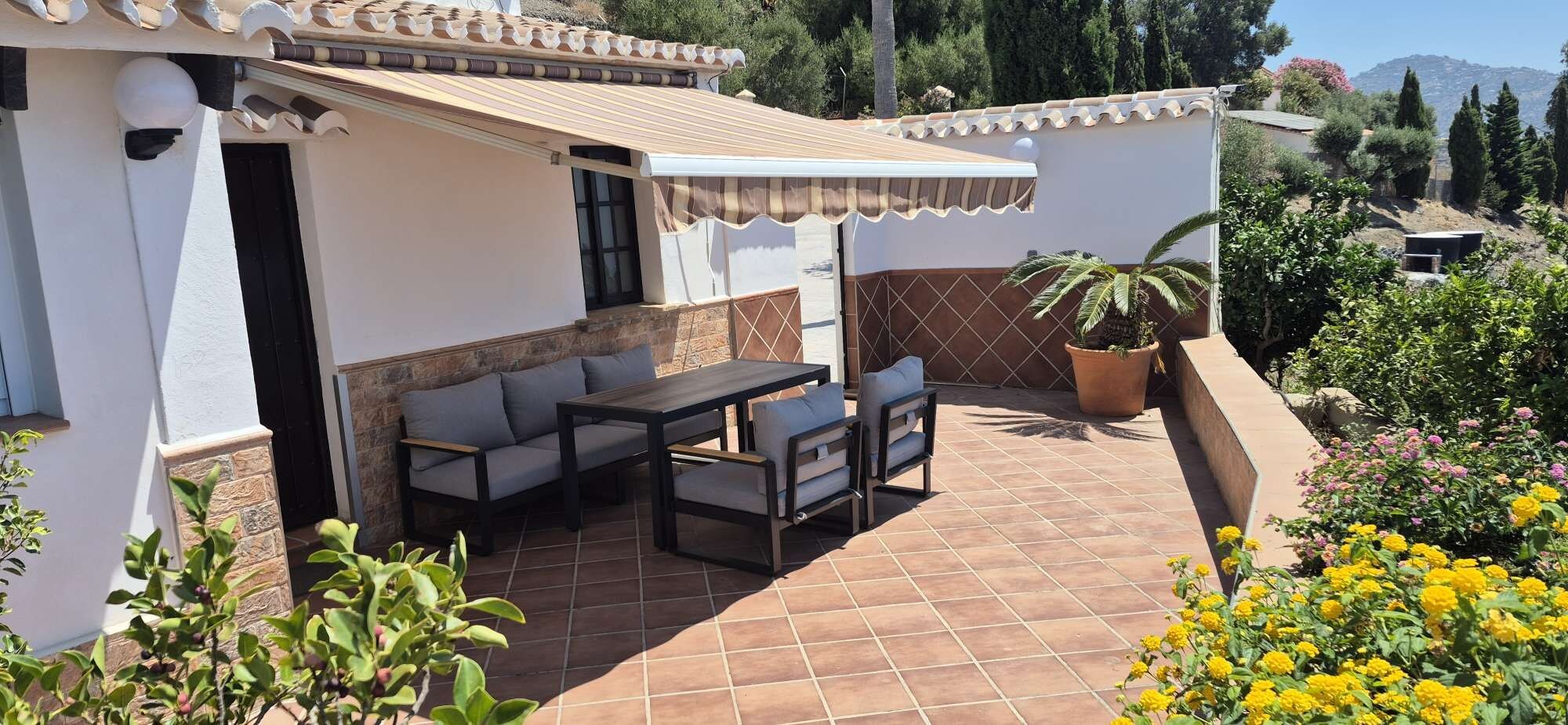 Une terrasse avec une table et des chaises, un auvent blanc et des plantes en pot.