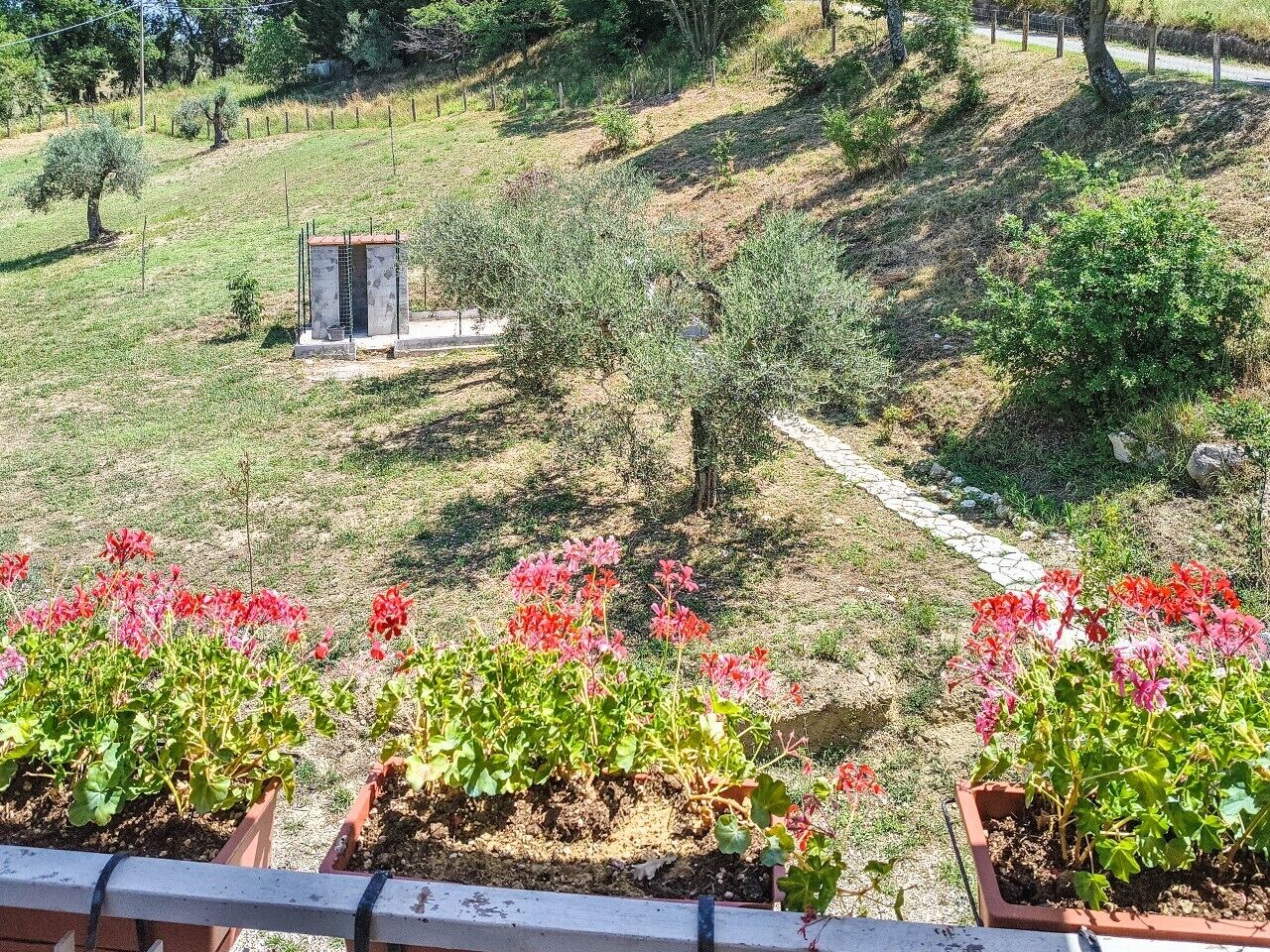 Parco della struttura
