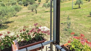 A balcony with potted plants and a view of a rural landscape.