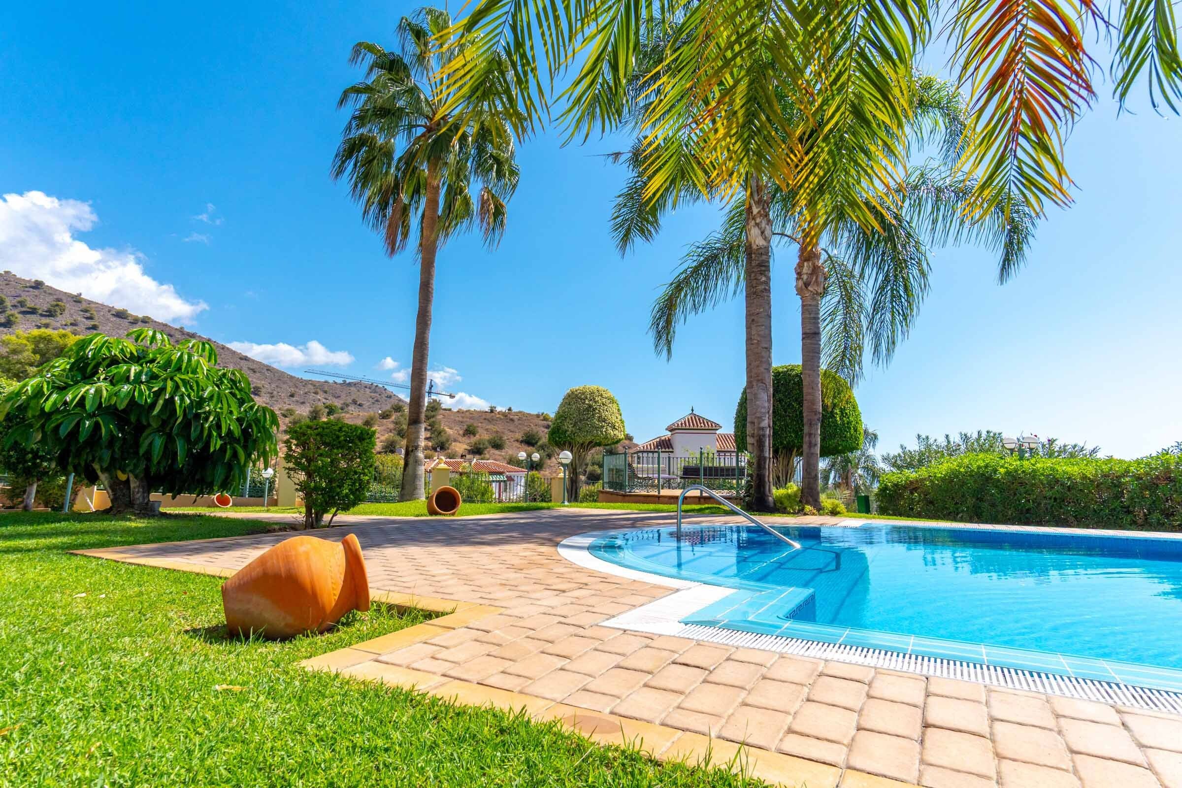 Une piscine dotée d’une terrasse carrelée, entourée de palmiers et d’une pelouse.