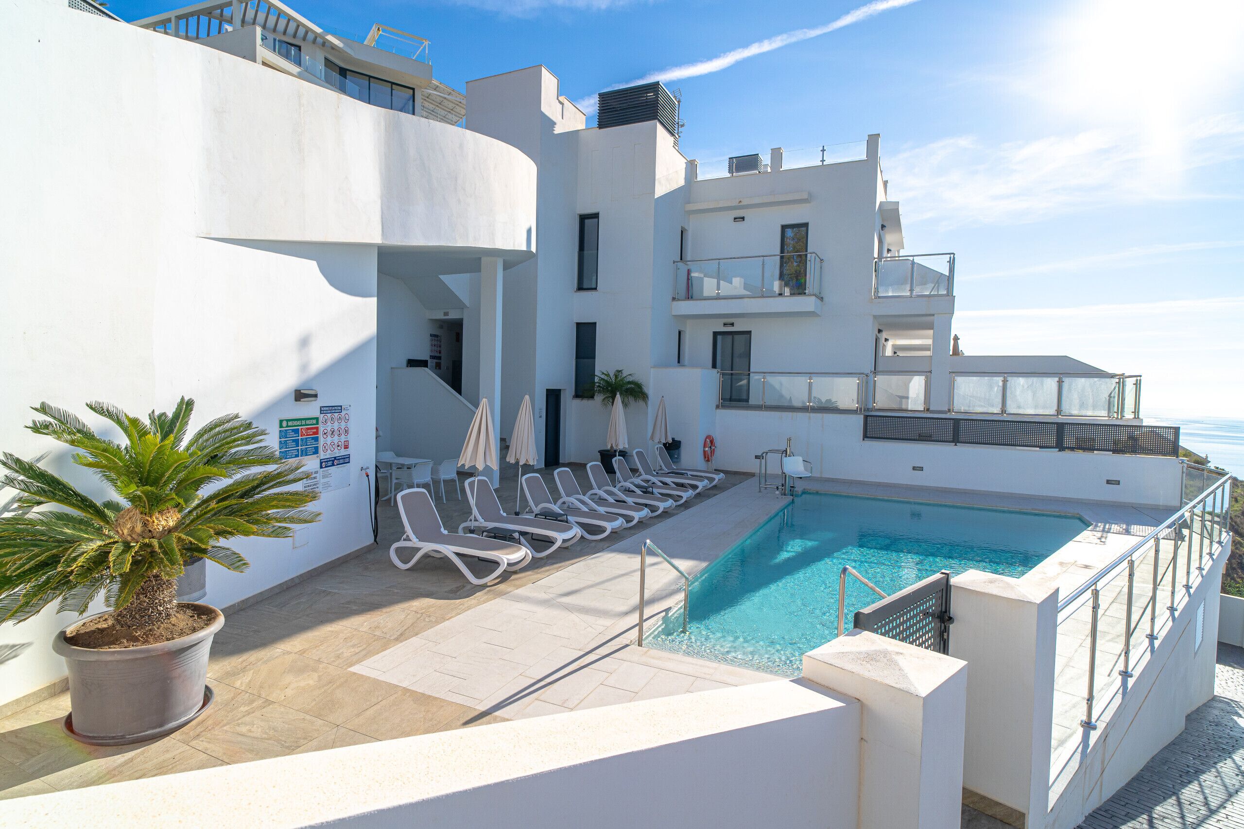 Uma área de piscina no terraço com espreguiçadeiras, uma palmeira e vista desobstruída do mar.