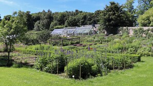 A greenhouse with a glass roof, surrounded by a lush garden with various plants and flowers. - Heather Cottage - UK52177 (Leven)