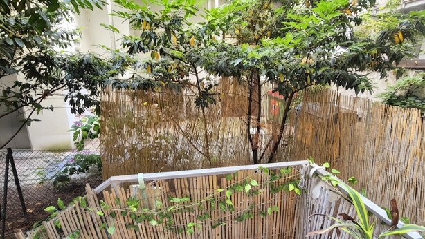 A bamboo fence with climbing plants, a metal railing, and a building in the background. - Cozy 1BR Apt with Living Room & Garden (Vienna)