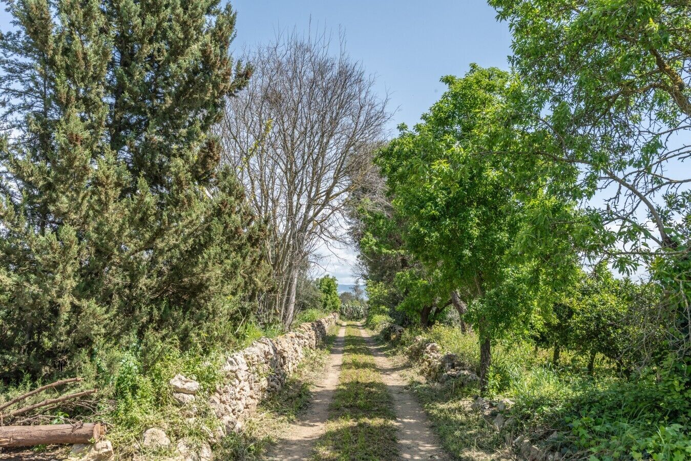 232_Tenuta Santo Spirito_55