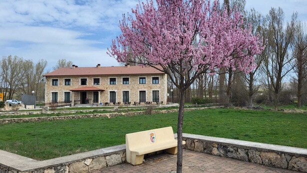 A stone building with a red-tiled roof, a bench, and a tree with pink blossoms in a landscaped area. - EL MENSARIO (Campisábalos)