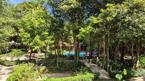 Un exuberante jardín con una piscina, rodeado de follaje y árboles frondosos.
