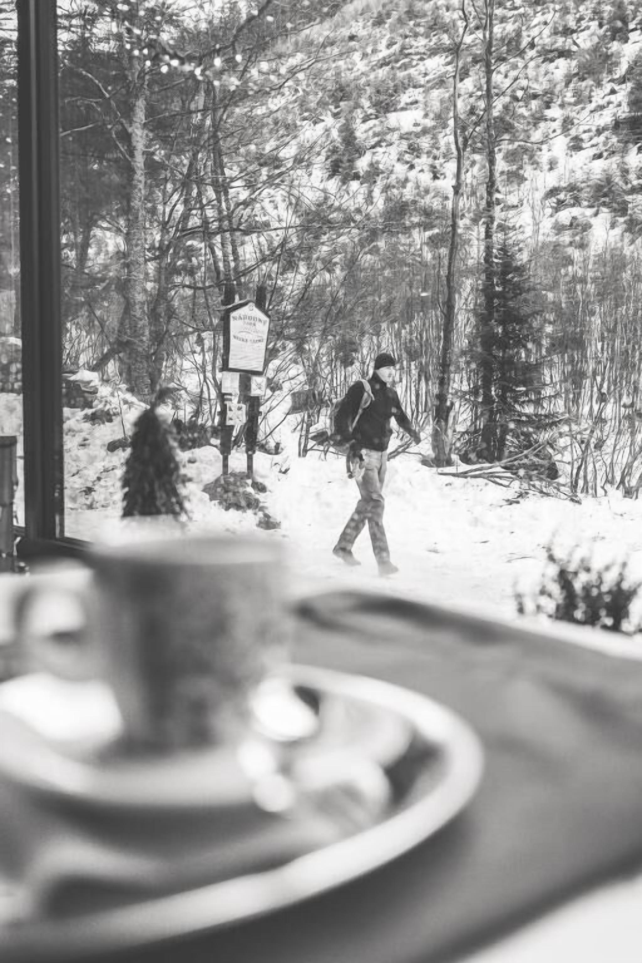 Una persona caminando por un bosque nevado con un cartel de señales al fondo.