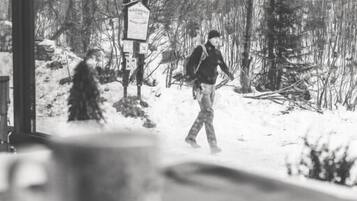 Una persona caminando por un bosque nevado con un cartel de señales al fondo.
