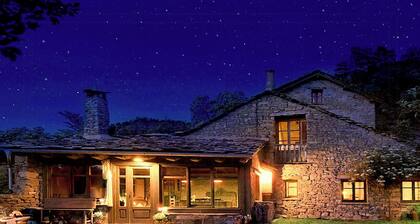 Isolated stone and timber house in the forest