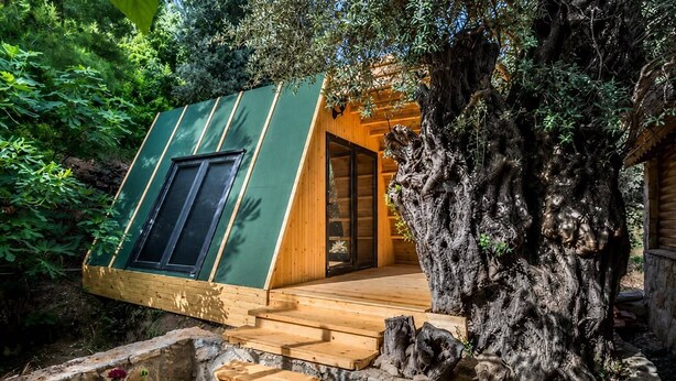 A treehouse with a sloped roof, wooden exterior, and a large tree trunk. - Petrinos Butik Otel (Datça)