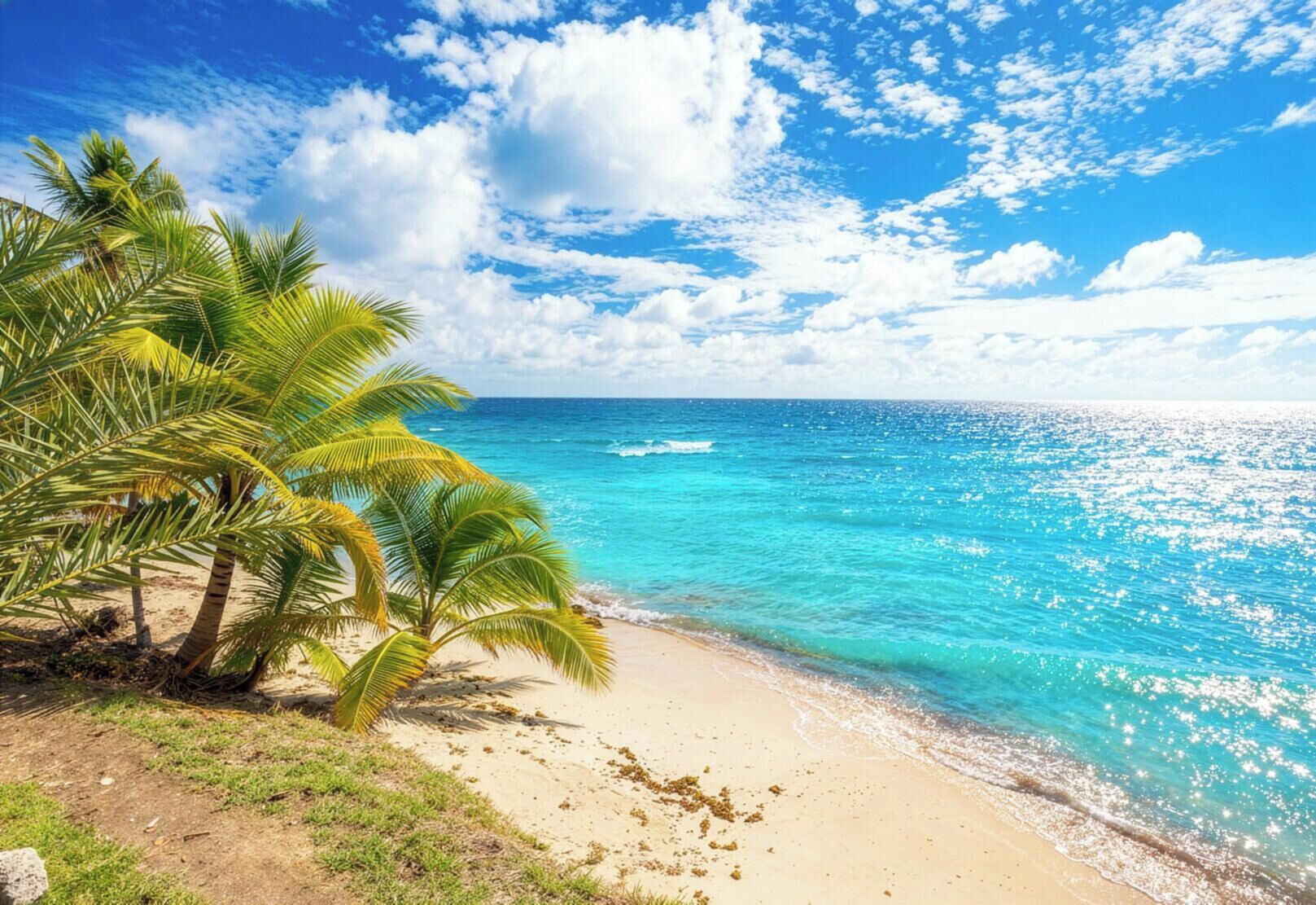 Een strand met helder turquoise water, palmbomen en een zandstrand.