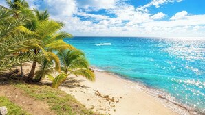 A beach with clear turquoise water, palm trees, and a sandy shore. - Éole, a charming villa, within walking distance of the beach, with a view of the sea (Sainte-Luce)