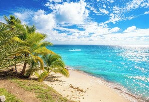 Uma praia com águas turquesa cristalinas, palmeiras e uma faixa de areia.