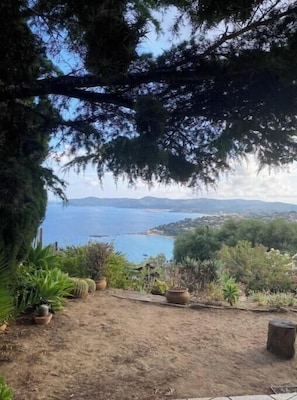 Ein Garten mit Blumentöpfen und Blick auf das Meer.
