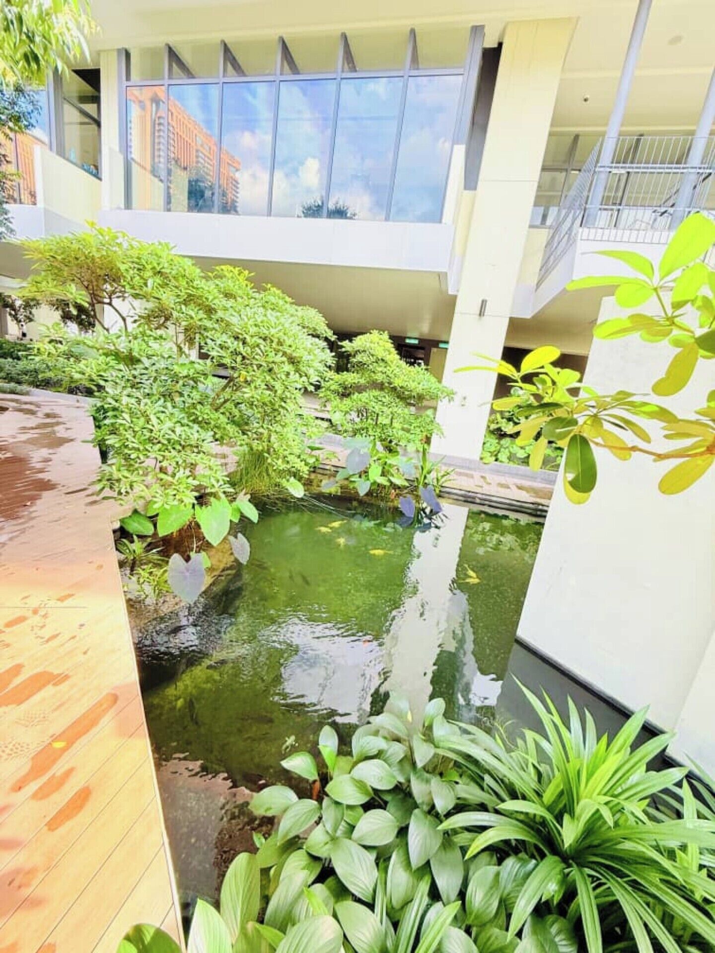 A courtyard with a small pond, surrounded by greenery and modern architecture.