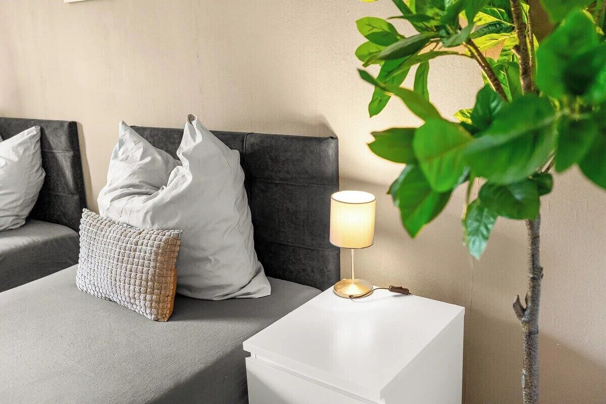 A bed with pillows, a bedside table with a lamp, and a plant.