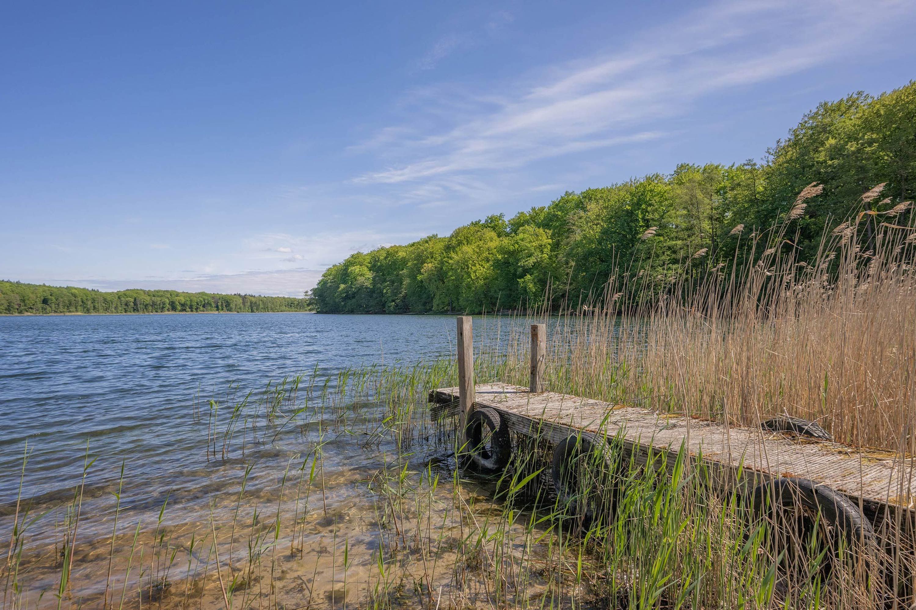 Een houten steiger die zich uitstrekt over een kalm meer, omgeven door weelderige begroeiing en bomen.