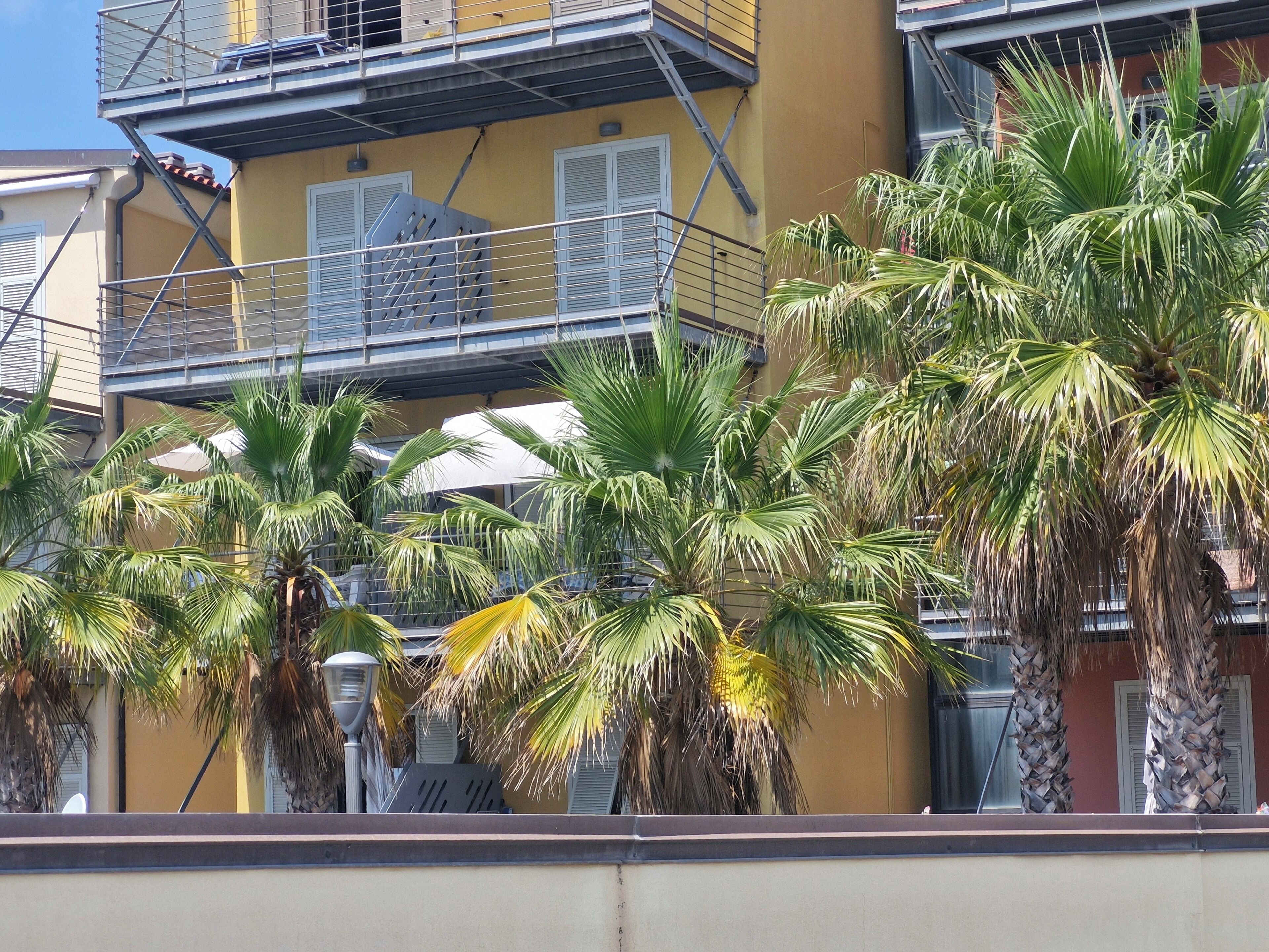 A multi-story building with balconies, palm trees, and a yellow facade.