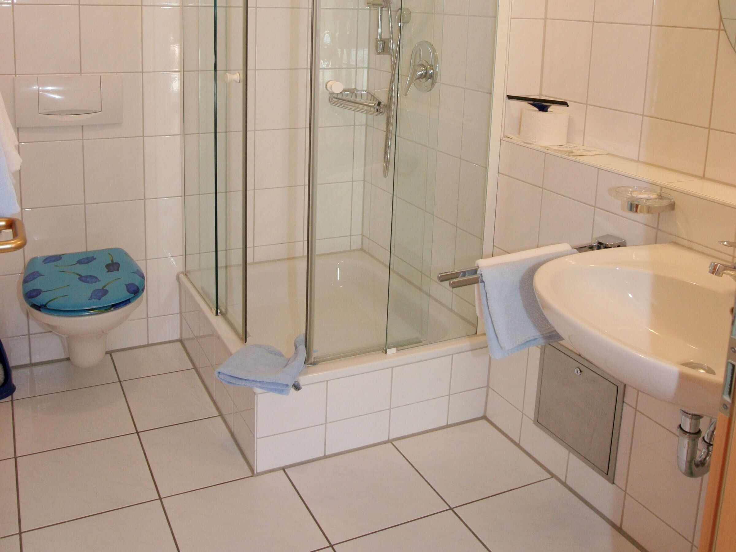 Dusche, Haartrockner, Handtücher