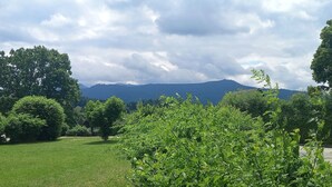 Un campo cubierto de hierba con árboles y una montaña al fondo.