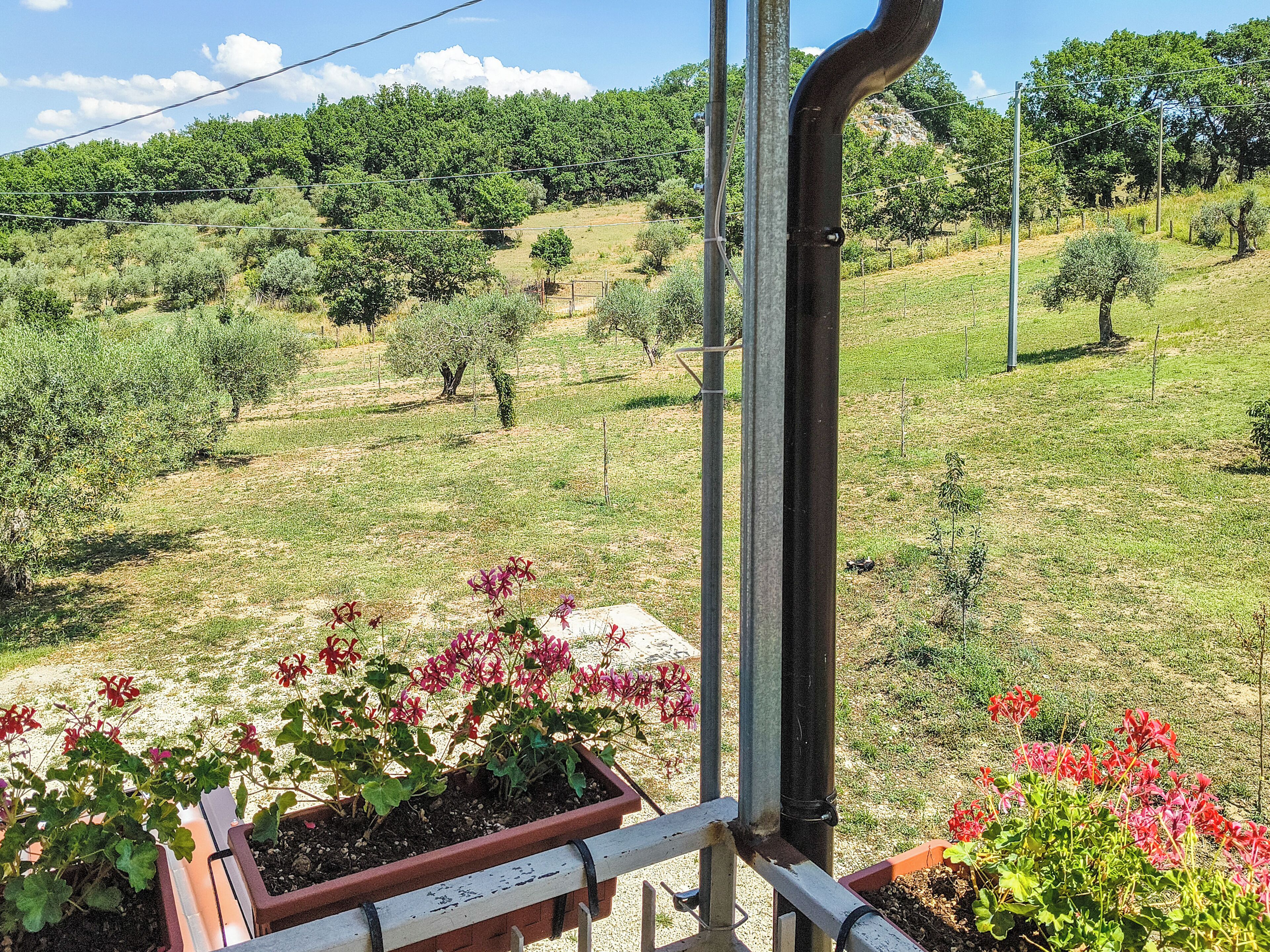 Vista dalla struttura