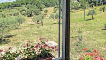 Vista dalla struttura