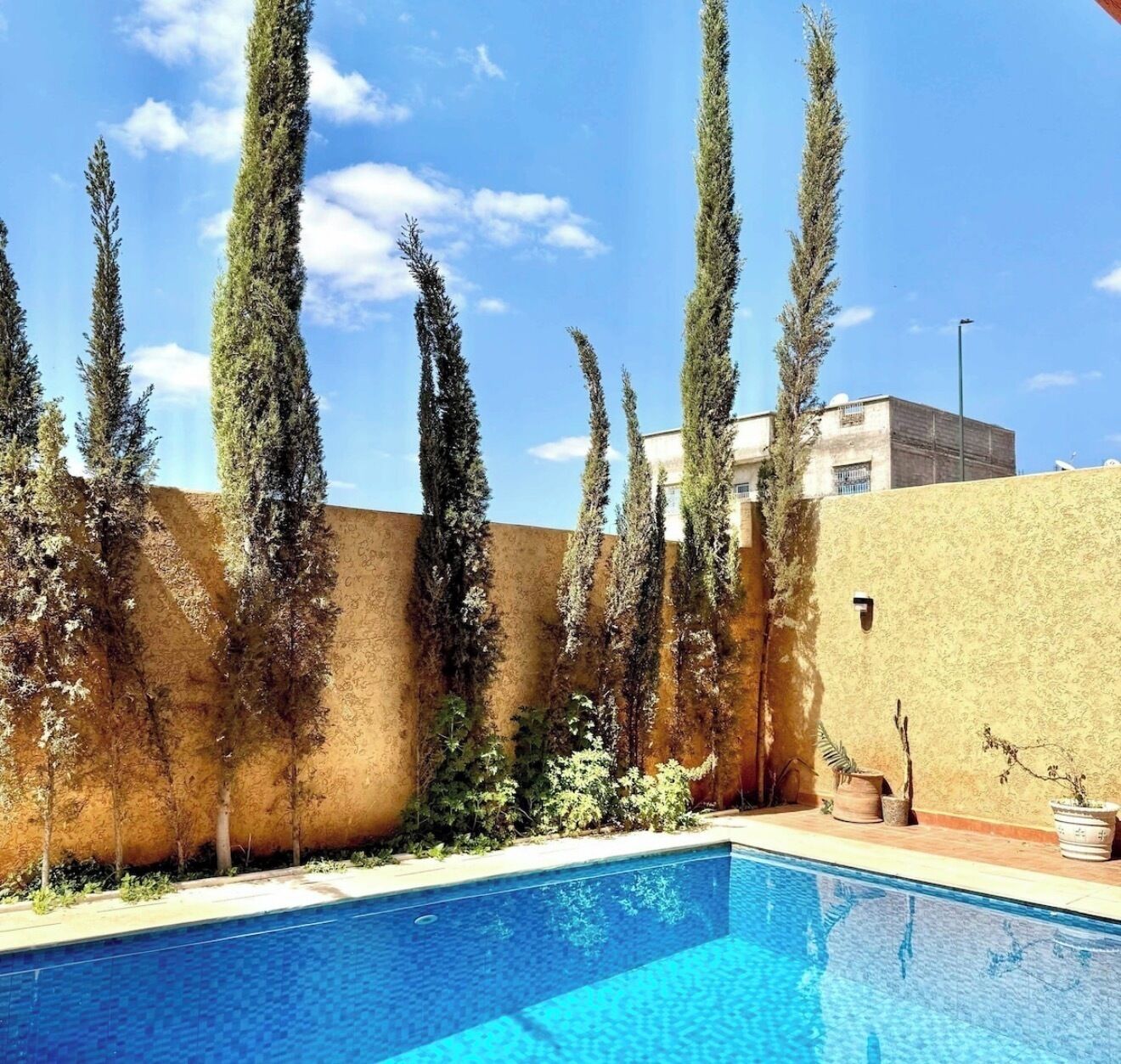 A swimming pool with tall, narrow trees and a building in the background.