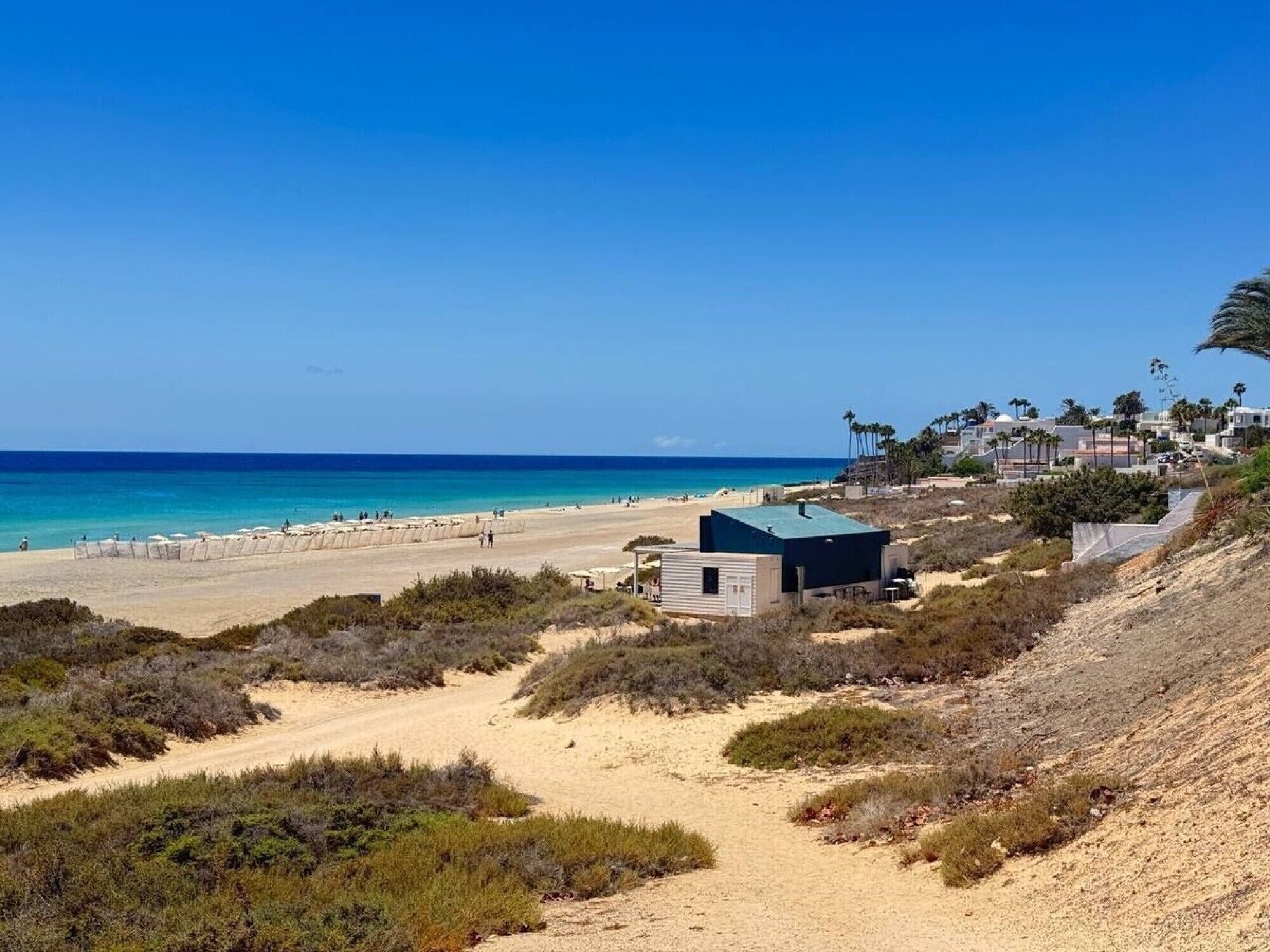 A beach with a clear sky, a sandy path, and a few buildings in the background.