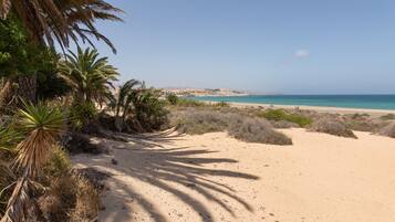 Ein Sandstrand mit Palmen und freiem Blick auf das Meer.