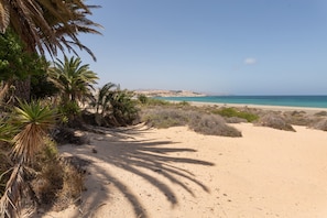 Une plage de sable bordée de palmiers, offrant une vue dégagée sur la mer.