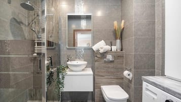 Ducha, secador de pelo, toallas y champú