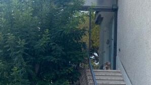 Una casa con entrada empedrada de piedra, un árbol y una escalera que lleva a una puerta.