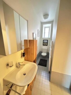 Bathroom - Vrbo Property (Basel)
