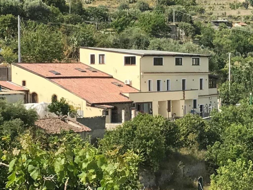 Esterni